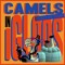 Camels in Igloos