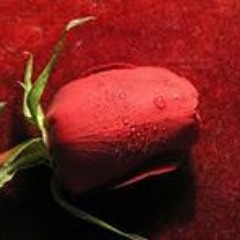 رومانسى