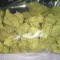 lyricist_420
