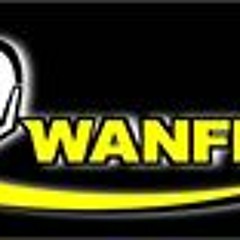 Wanfl Umpires-Association