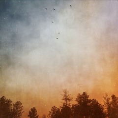 ricardodelgadoricardo