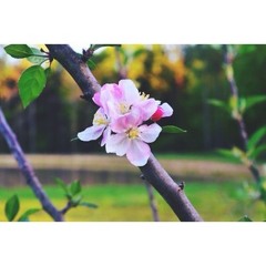 alexandriamatthews63