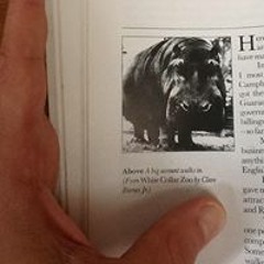 Theo Erdmann Erdmann