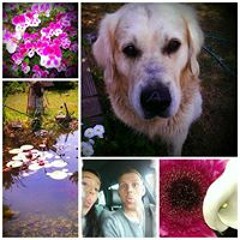 Caro Nichtkompatibel