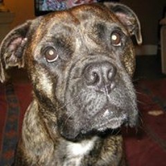 Mandy Flint Henderson