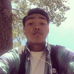 andrew_the _ monkey