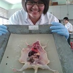 Lydia Chang Munn Ying