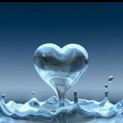 user477652601