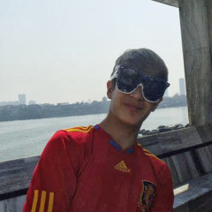 Jean-Eric van der Elst