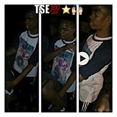 mar_tse