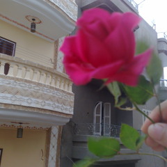 Mrmr Maro