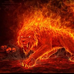 QBA - Me Gusta Caminar Por El Vecindario