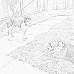 Jamie Pronto Baggott