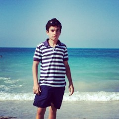 Mohamed Hesham Alkhuly