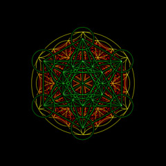 Warrior Psychॐelic