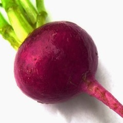 Necrobeets