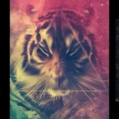 Skylar Rodriguez Lao