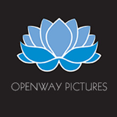 Openway Pictures