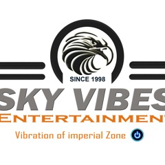 SKYVIBES ent