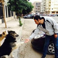 Mohamed Mohab 2