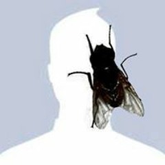 Tim Em - Ho Quang Hieu