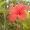 naha_laut
