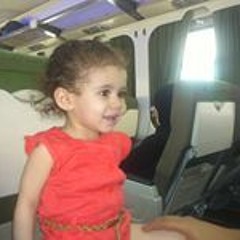 Abdel-azeem Elsayed