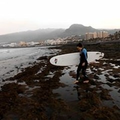 Ann-Christin Berardi