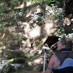 Kelly Kathleen Violi