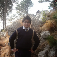Asad Abbas 48