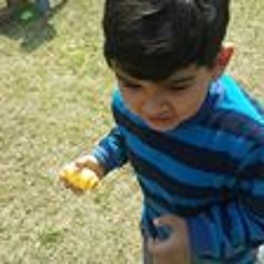Zohaib Hassan