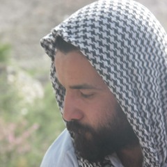 Muhammad Irtaza Bayat