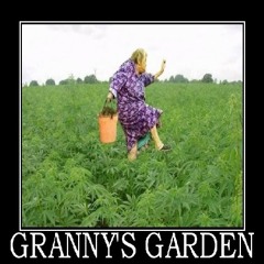 Granny's Garden