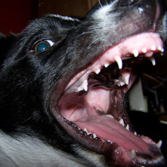 Angels of Trance CD2 - 20/07/02