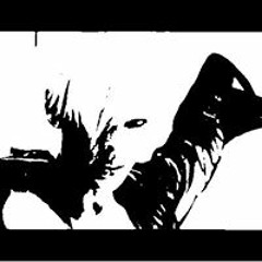 Sinem Kuyumcu Sönmez