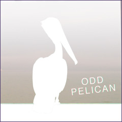 oddpelican