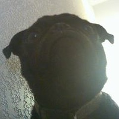 Heylel Robert Heosphoros