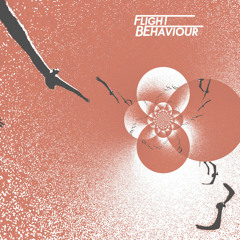 Flight Behaviour