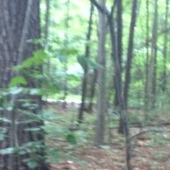 Kevin Smith_100000000