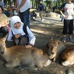 Kajian