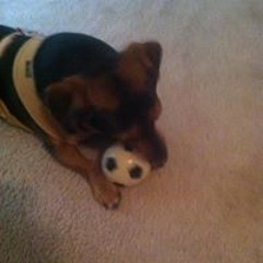 Melinda Suzanne Ortiz