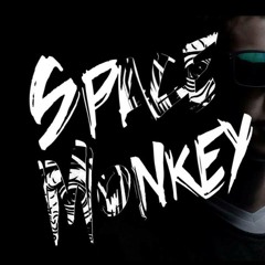Spacemonkey...