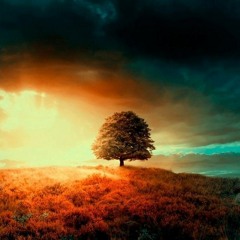 Musician Art Gallery