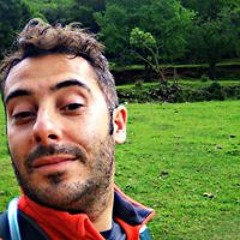 Francisco Martinez 395