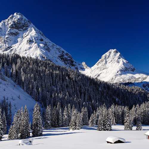 Gettin' Live - GRiZ (simple remix)