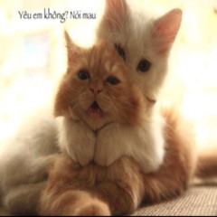 Nhớ Lắm