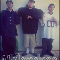 Smokeymalow BlueLine