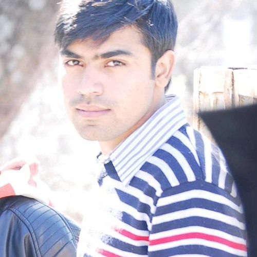 Shazaib Raza’s avatar