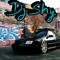 DJ SHY 88