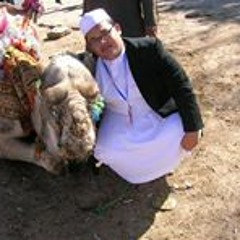 Mohamed Farid Nashrique